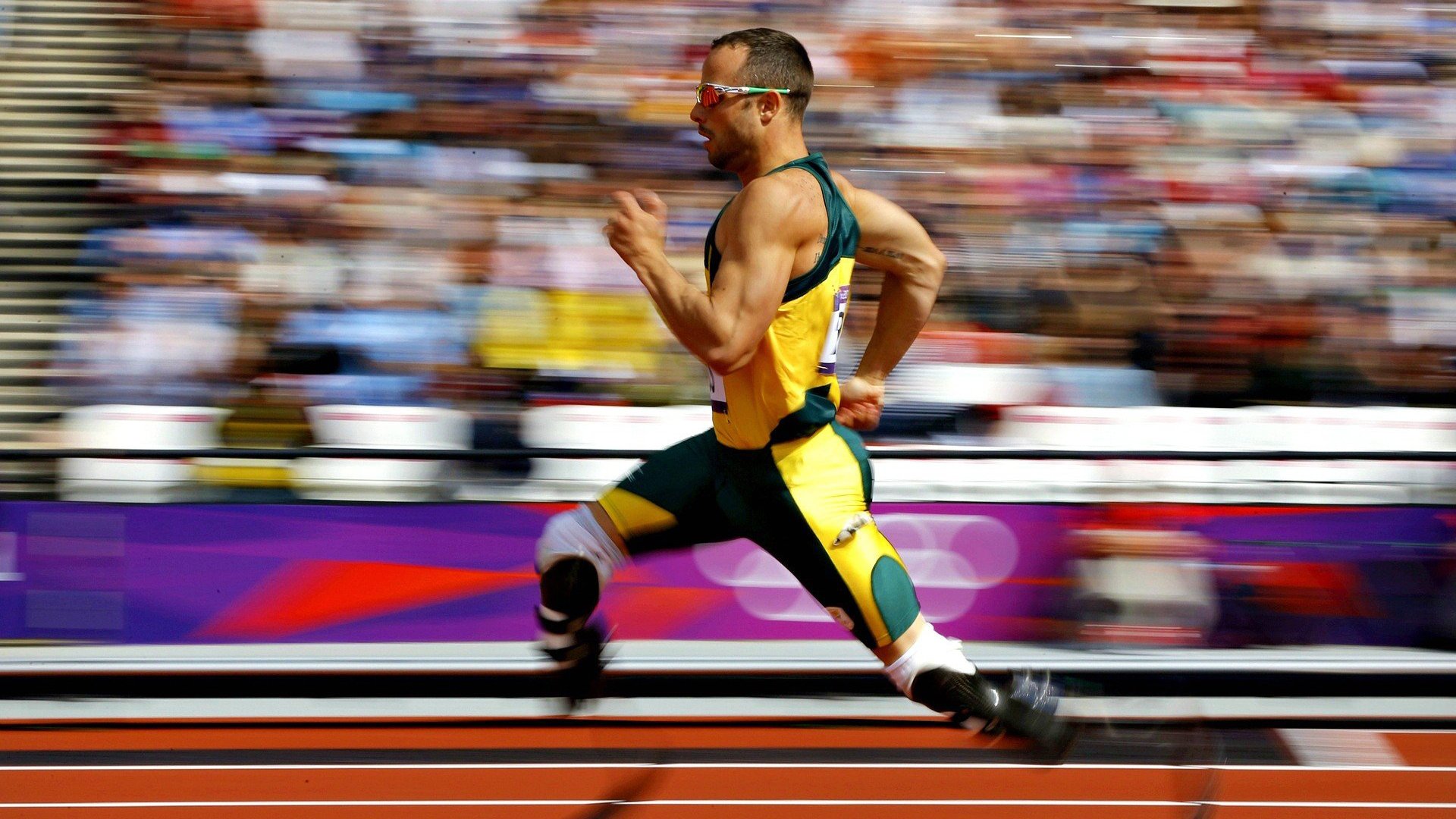 F1赛车赛场焦点！荷兰队对阵澳大利亚队，战术博弈精彩纷呈，教练斗智斗勇